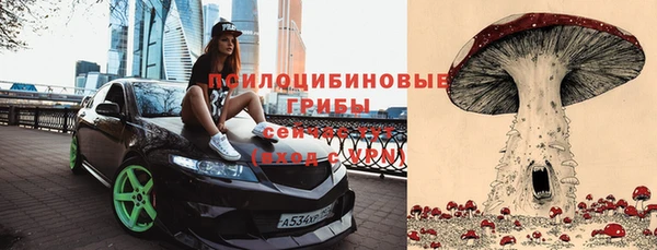 не бодяженный Новокубанск