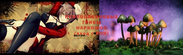 МДМА Новозыбков