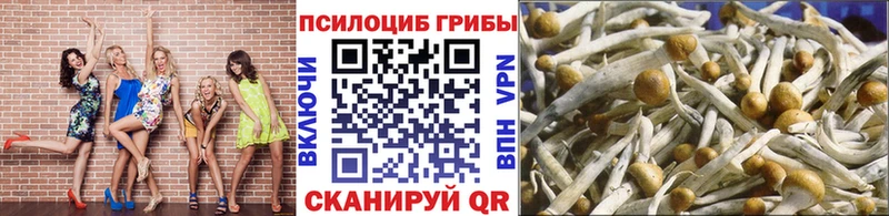 кракен ССЫЛКА  Староминская  Псилоцибиновые грибы ЛСД 