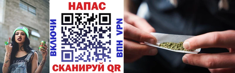 Каннабис конопля  Староминская 